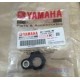 38B-E3556-00 Gasket Manifold R150