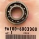96100-6003000 Bearing 6003R 17x35x10