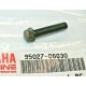 95027-06030 Screw 6 x 30 8mm Head